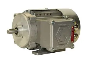 Ex-Motor, RL 63 A2,  Ex db eb IIC T4