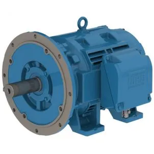 DS-Motor Typ ODP-IE2 160 M 2