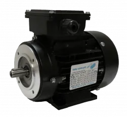 DS-Motor Typ T3A 631-4 / TFCPE 63A-4
