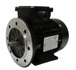 DS-Motor Typ T3A 711-2 / TFCPE 71A-2