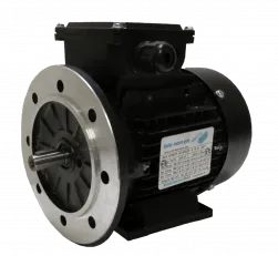 DS-Motor Typ T3A 631-4 / TFCPE 63A-4