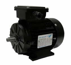 DS-Motor Typ T3A 631-4 / TCE 63A-4