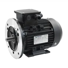 DS-Motor Typ JLG 250M-2 IE5