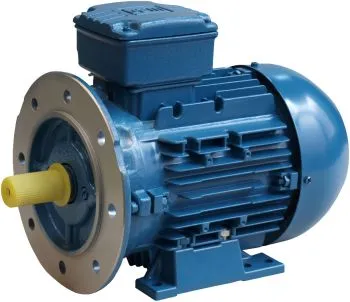 DS-Motor Typ W21 71B 8