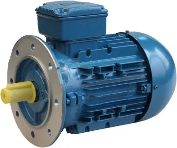 DS-Motor Typ W21 90S-2