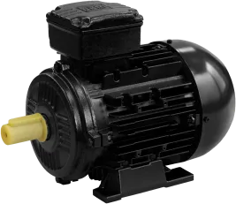 DS-Motor Typ W21/AL 80-8-4 / B3