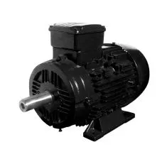 DS-Motor Typ W21 160ML-8-4 / B3