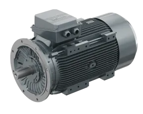 DS-Motor Typ 4EG315S-4