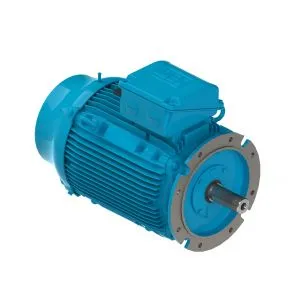 DS-Motor Typ W22 250SM-4-6 / B5