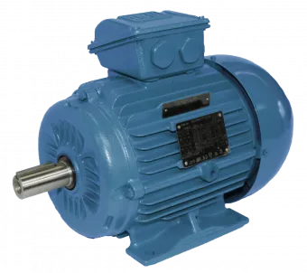 Ex-Motor, W22Xe 100L 4, Ex eb IIC T3 Gb 2,50 KW - 1500 upm - 230/400 V - 50 Hz. - B3T