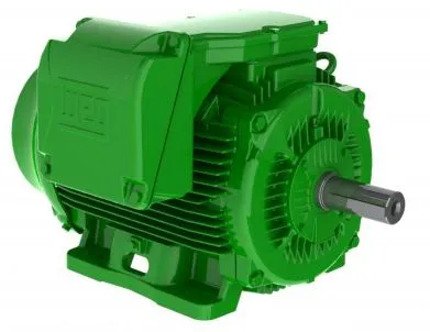 DS-Motor Typ W22 280SM 8 37,0 KW - 750 upm - 400/690 V - 50 Hz - B3R
