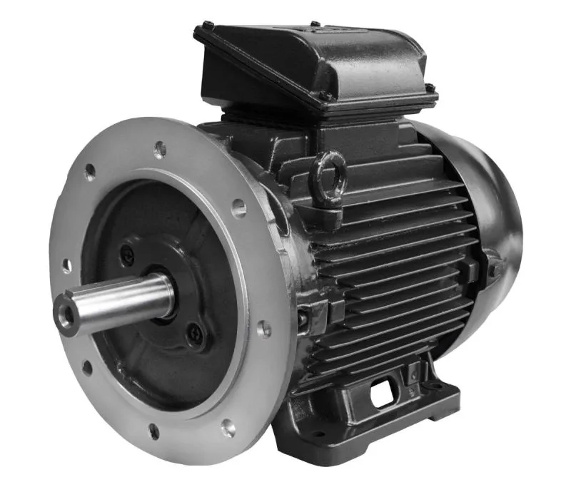 WEG W22 Xeb-Motor, Erhöhte Sicherheit, ATEX, Ex-Motor, B3, Grauguss | blecher.de