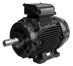 DS-Motor Typ W22 225SM-8-4 / B3