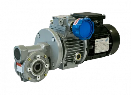 Schneckengetriebe-Motor Typ:CH05-018-71AC4 / B5