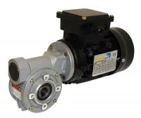 Schneckengetriebe CH mit Hohlwelle und Drehstrommotor