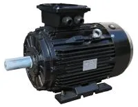 Elektromotor, 500V Sonderspannung, schwarz, B3, Fußausführung, Grauguss