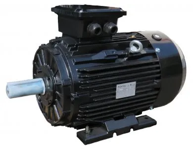 DS-Motor 500V Typ TM 200L 2 30,0 KW - 3000 upm - 500/865 V - 50 Hz - B3