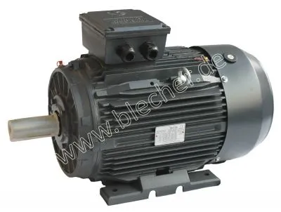 DS-Motor Typ TM 200L2-6