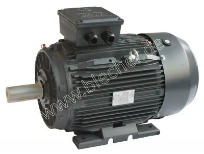 DS-Motor Typ TM 160L-4 15,00 KW - 4-polig - 200...600 V - 50/60 Hz - B3