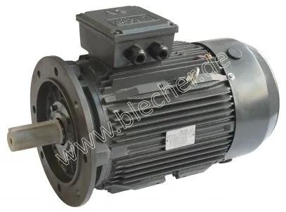 DS-Motor Typ TM 180L-6