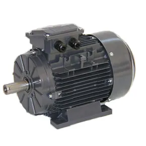 DS-Motor Typ TM 90L1-4