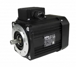 DS-Motor Typ SMT 5624