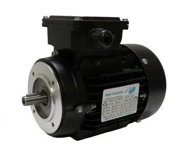 DS-Motor Typ T4A 80 2-8