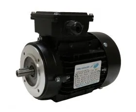 DS-Motor Typ T4A100L2-4