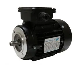 DS-Motor Typ T4A711-4