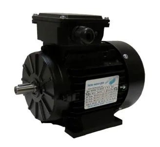 DS-Motor Typ T4A802-6