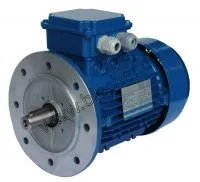 Drehstrommotor Isolierklasse H, Hohe Umgebungstemperaturen, B5 Flanschausführung, RAL 5010 blau | blecher.de