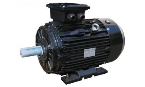 DS-Motor 500V Typ TM 180M 4