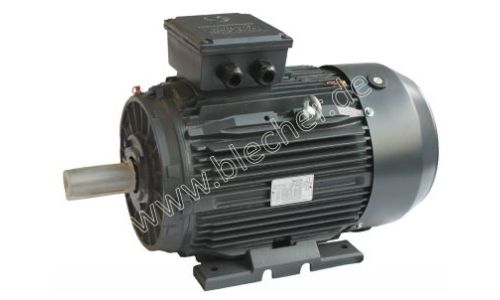 DS-Motor Typ TM 200L1-6