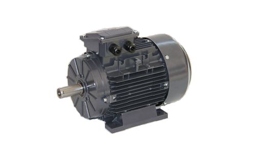 DS-Motor Typ TM 100L1-2